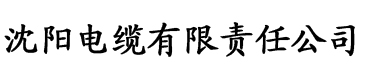 久久久无码精品一区二区三区电缆厂logo